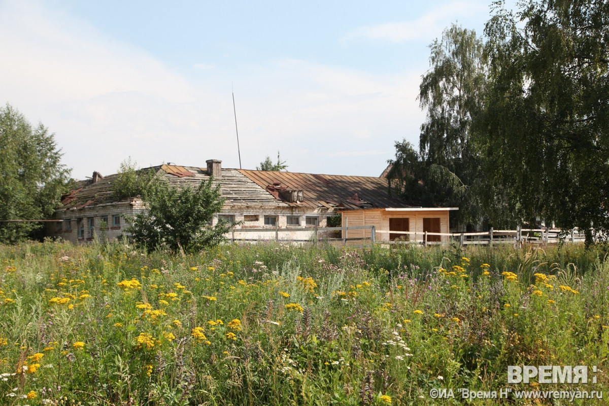 Нижегородский ипподром продолжает зарастать травой | Информационное  агентство «Время Н»