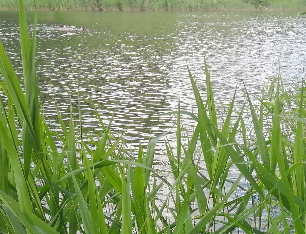 Мужчина утонул в Оке в Нижнем Новгороде