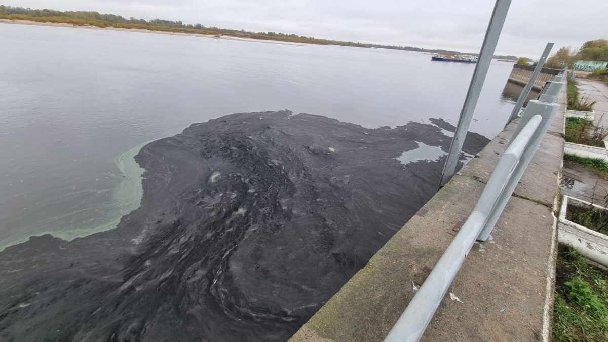 Ущерб от разлива нефтепродуктов в акватории Волги составил более 45 тысяч рублей