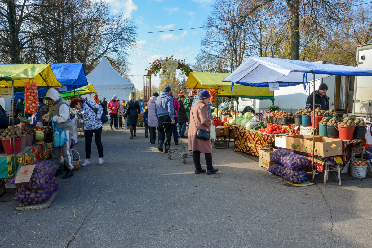 Фестиваль «Осенний дар» пройдет в Автозаводском и Ленинском районах