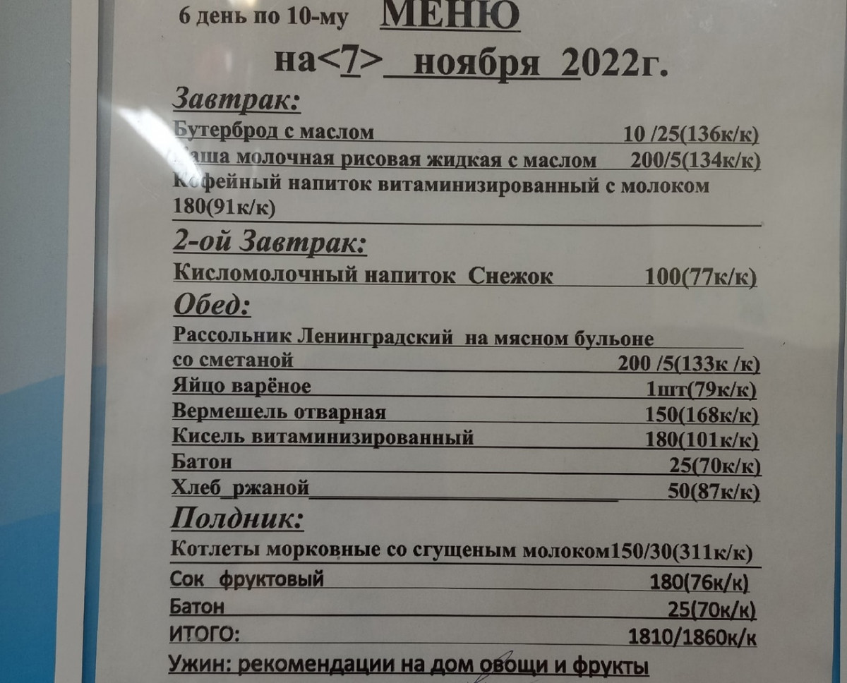 Нижегородка пожаловалась на отсутствие мяса и рыбы в меню детсада |  Информационное агентство «Время Н»