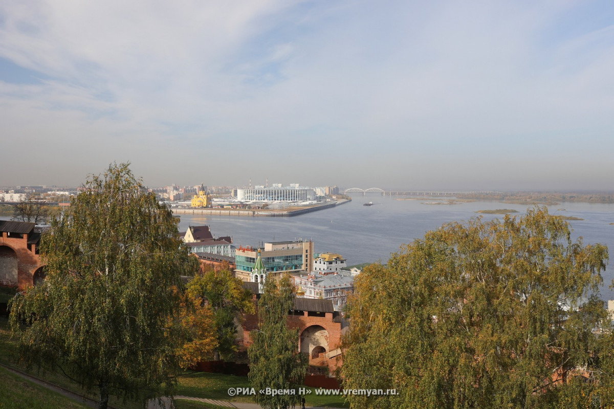 Новгород ветер. Еловый сквер в Нижегородском Кремле.