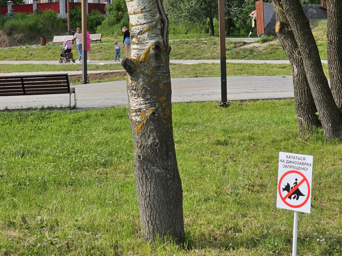 Жителям Бора запретили кататься на динозаврах