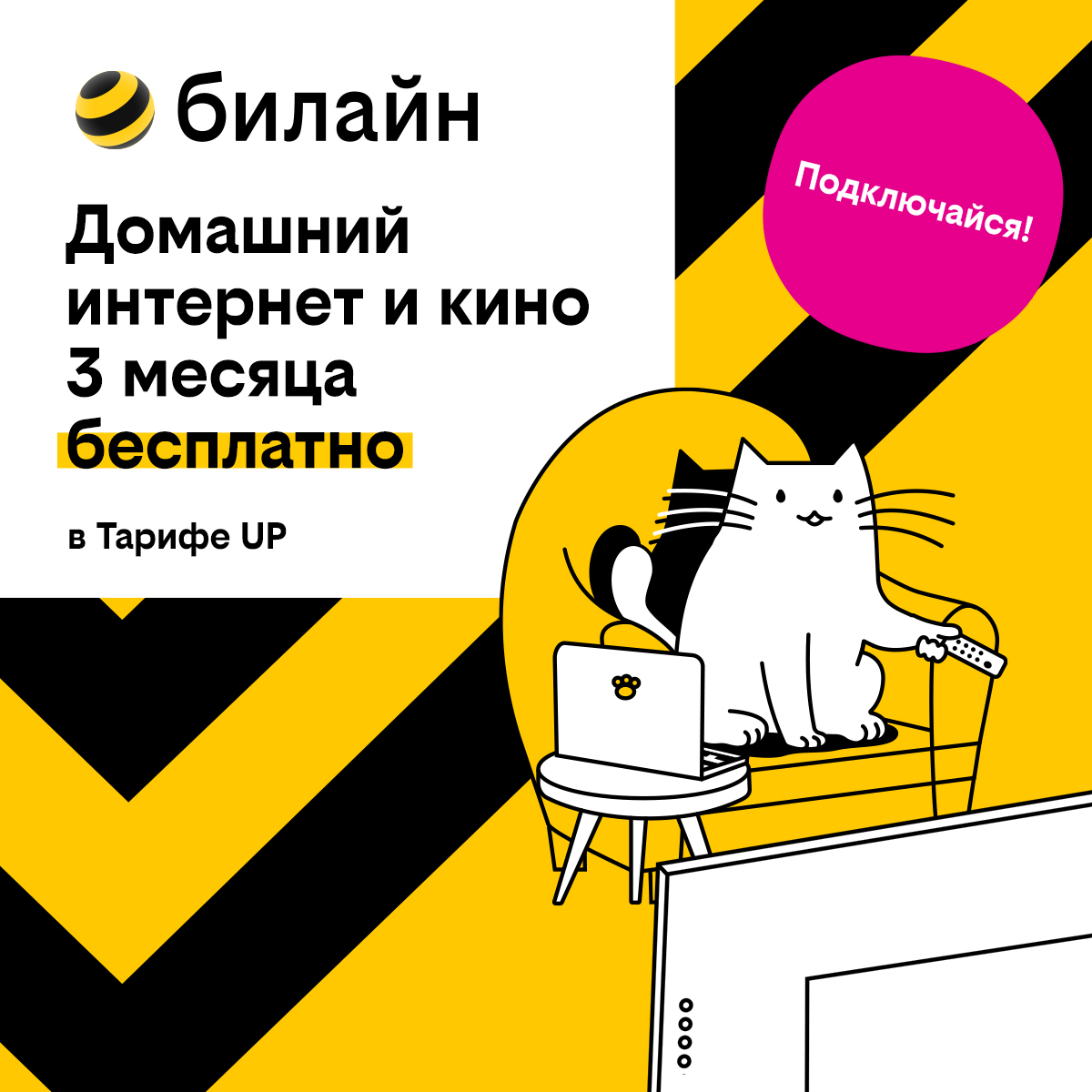 Базя, Пинг и Пуш сделают первые 3 месяца домашнего интернета с кинотеатром  и цифровым ТВ бесплатными | Информационное агентство «Время Н»