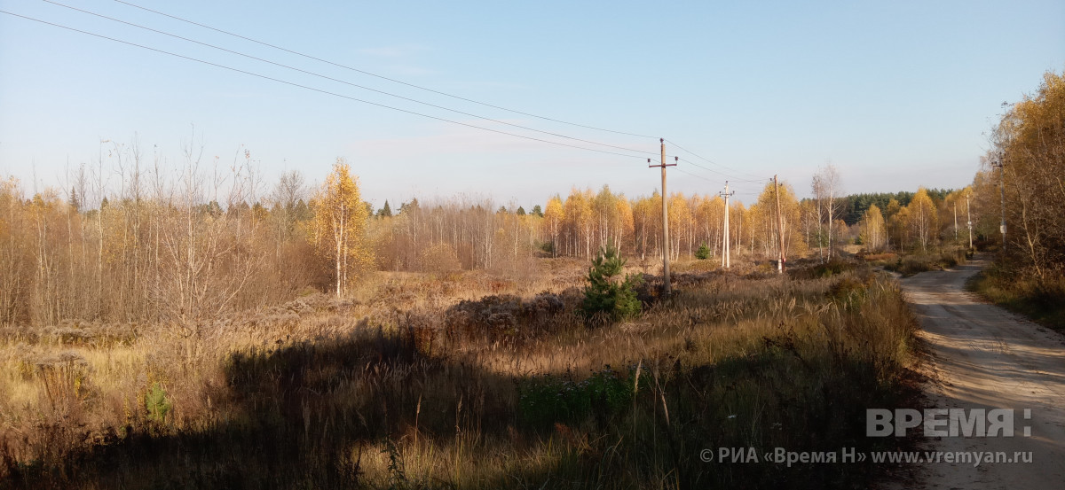 Высокая пожароопасность сохранится в Нижегородской области до 19 сентября