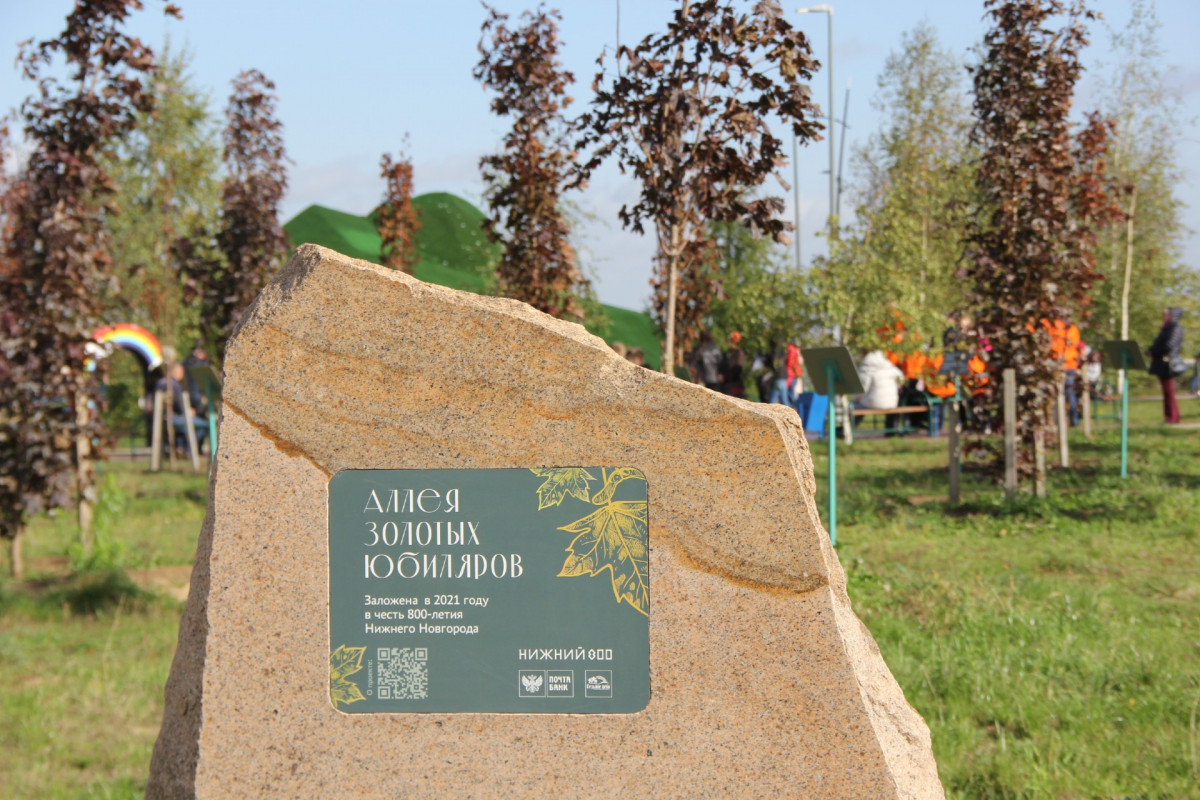 Именные деревья высадят на Аллее золотых юбиляров в Нижнем Новгороде