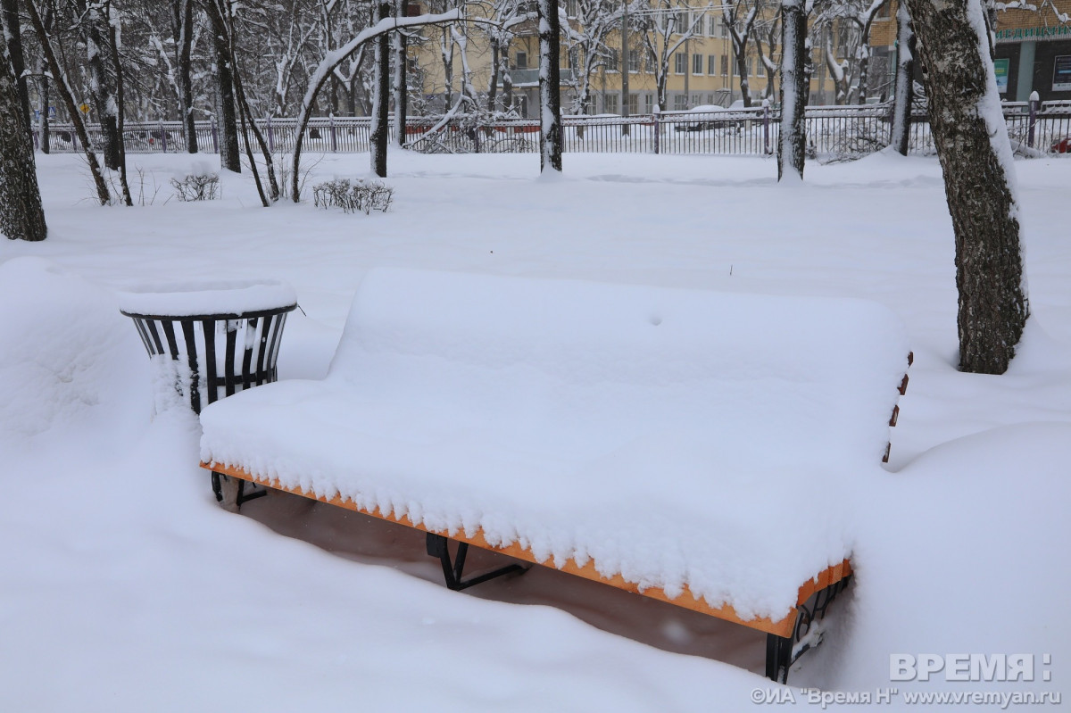 До 30 см снега выпадет в Нижнем Новгороде в ближайшие дни