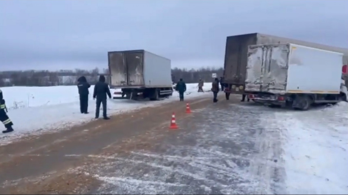 Появилось видео ДТП под Богородском, в котором погибли три человека |  Информационное агентство «Время Н»