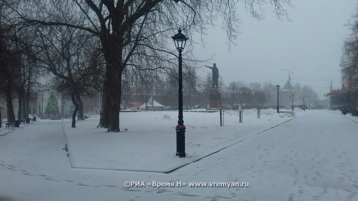 Метель, снег и дождь ожидаются в Нижнем Новгороде в ночь на 19 января