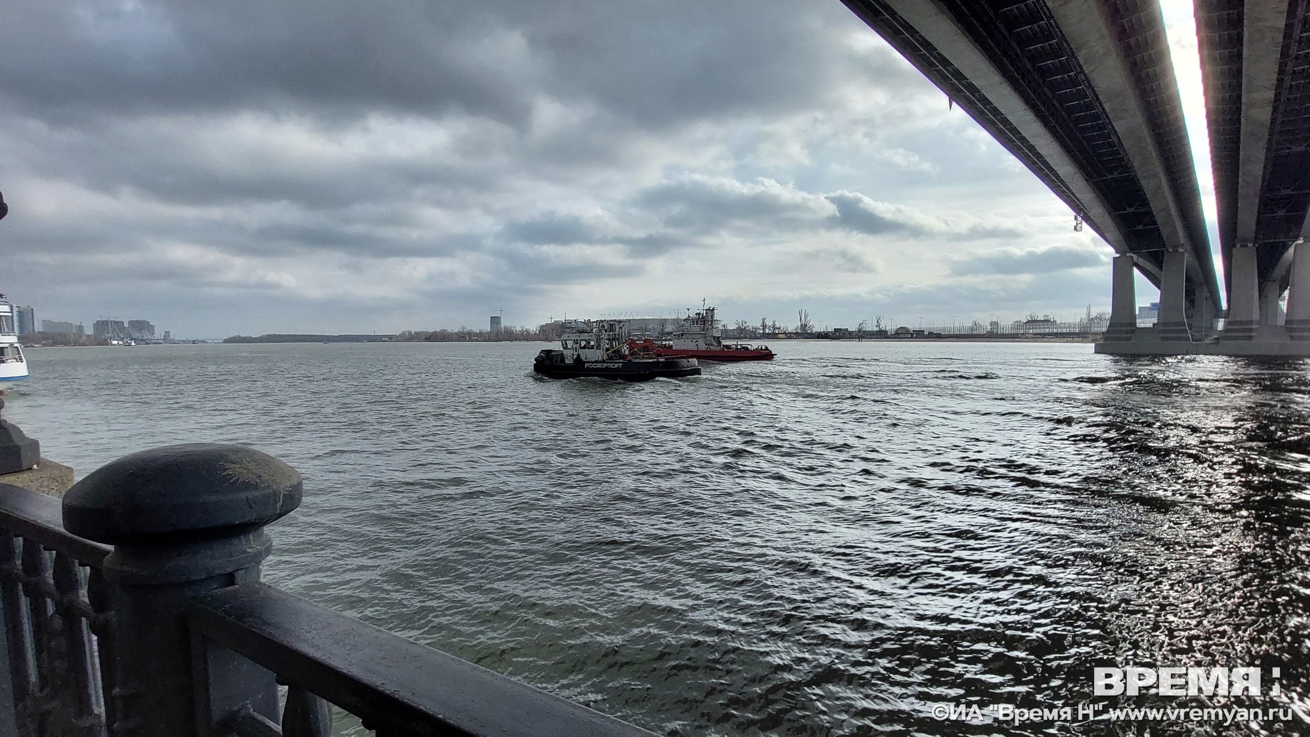 Нижегородка поделилась впечатлениями о жизни в прифронтовом Ростове-на-Дону  | Информационное агентство «Время Н»