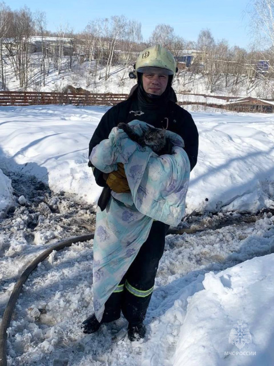 Нижегородские пожарные вынесли двух котов из горящего дома