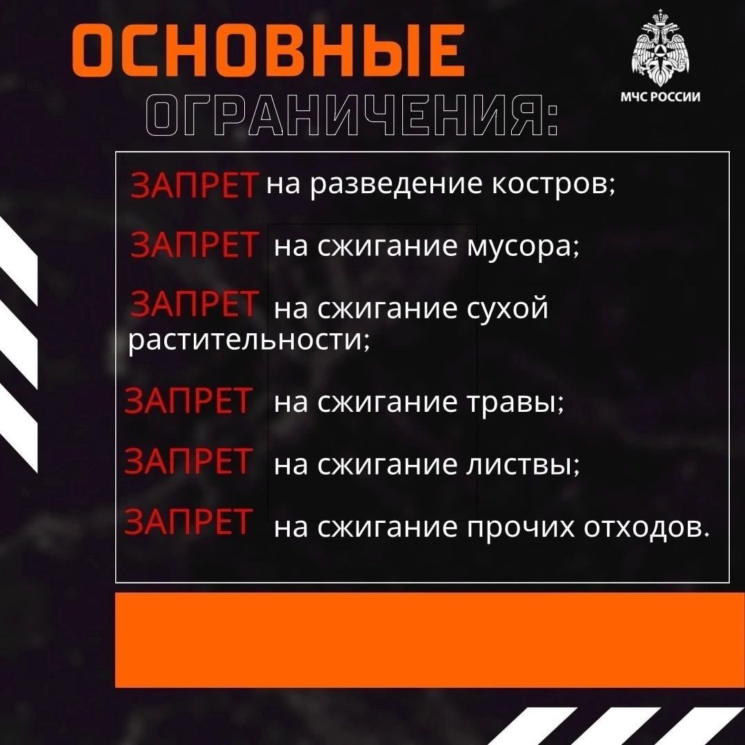 Особый противопожарный режим введен в Нижегородской области |  Информационное агентство «Время Н»