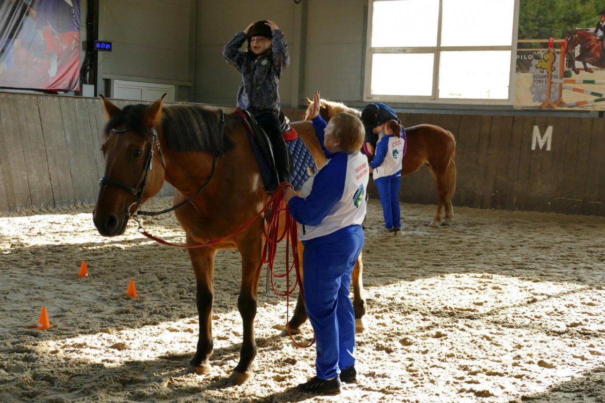 Фестиваль «Добрая лошадка» для детей с проблемами здоровья пройдет в зооцентре «Надежда»