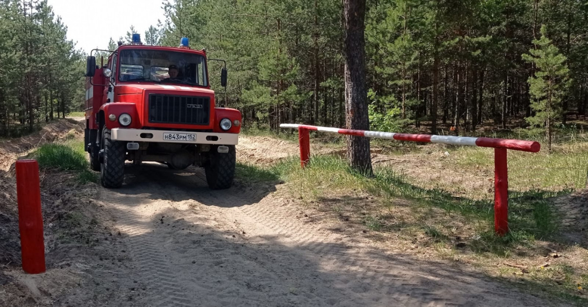 17 мобильных групп патрулируют городские леса Нижнего Новгорода