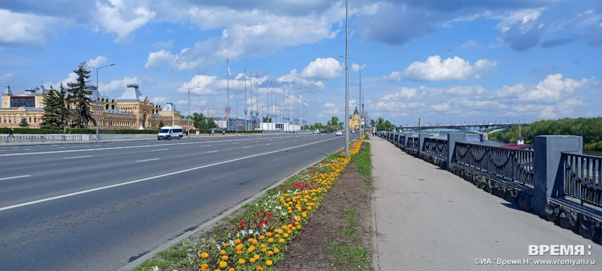 Деревьев на улице Советской больше не будет