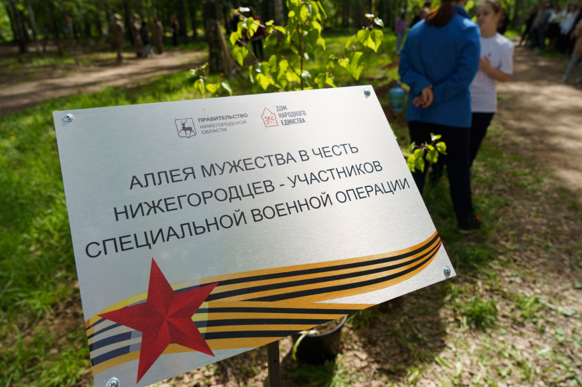 Аллея мужества в честь нижегородцев-участников СВО появилась в парке им.  Пушкина | Информационное агентство «Время Н»