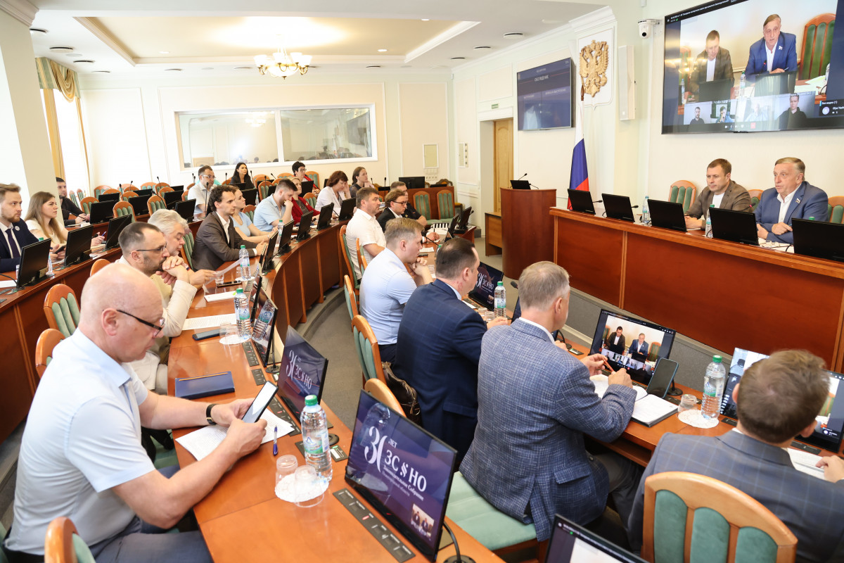Солдатенков: тема регулирования электросамокатов вызвала жаркие споры в Заксобрании