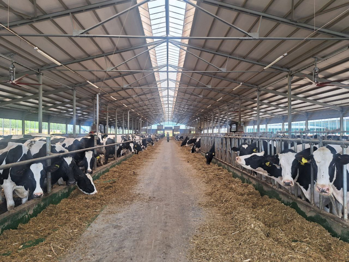 Новая молочная ферма более чем на тысячу голов построена при господдержке в Бутурлинском округе