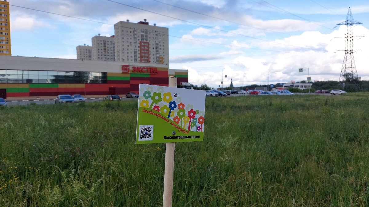 Луговые газоны продолжают создавать в Нижнем Новгороде