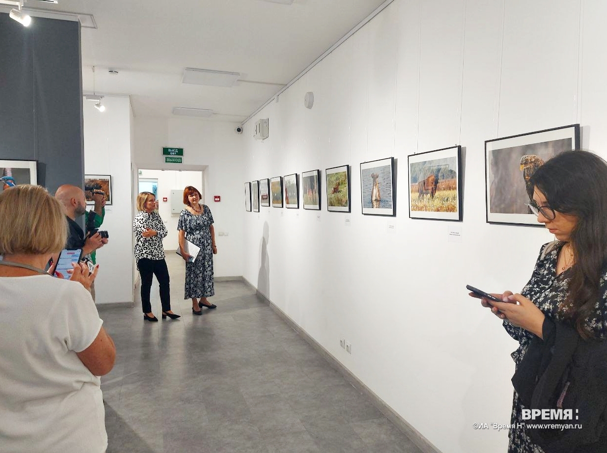 В РМФ открылась выставка белорусского фотографа-анималиста Татьяны Алешки |  20.06.2024 | Нижний Новгород - БезФормата