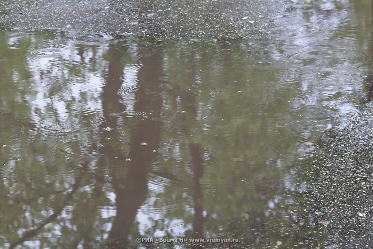 Дождь с грозой снова обещают синоптики нижегородцам 20 июня