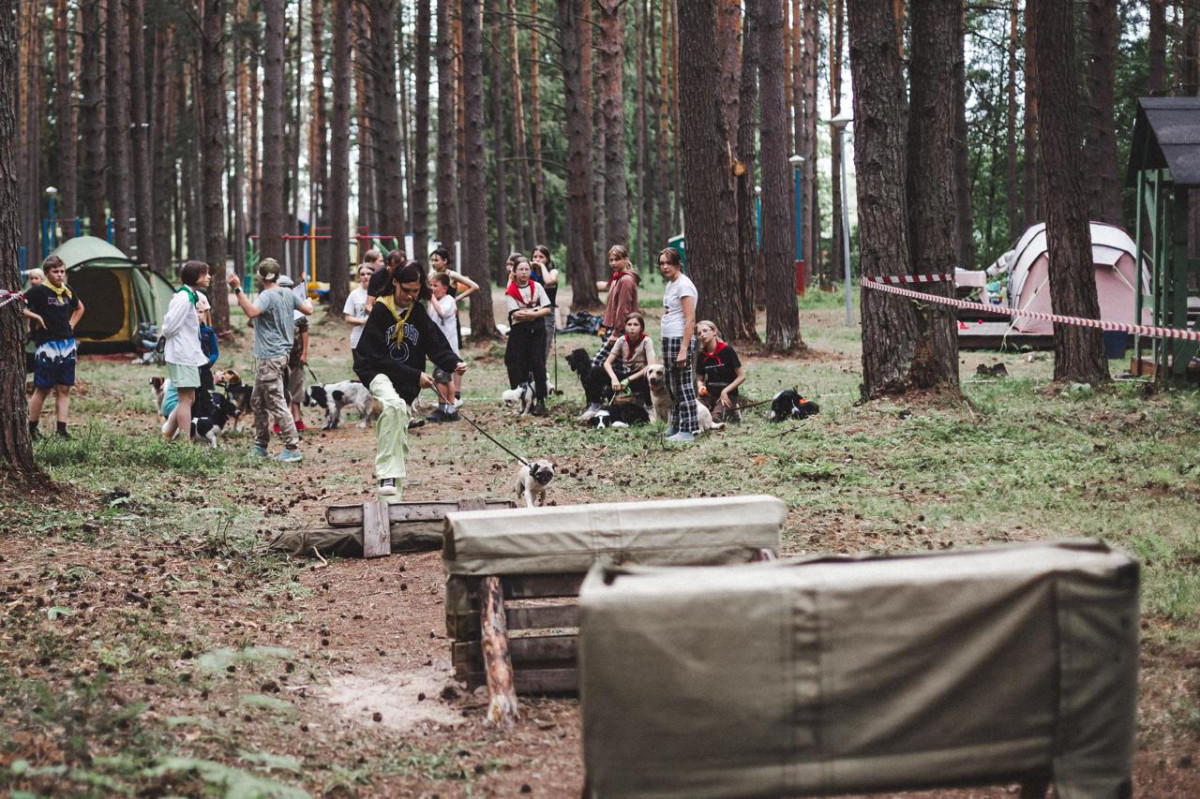 100 юных нижегородцев примут участие в слете «Хвостатые каникулы»