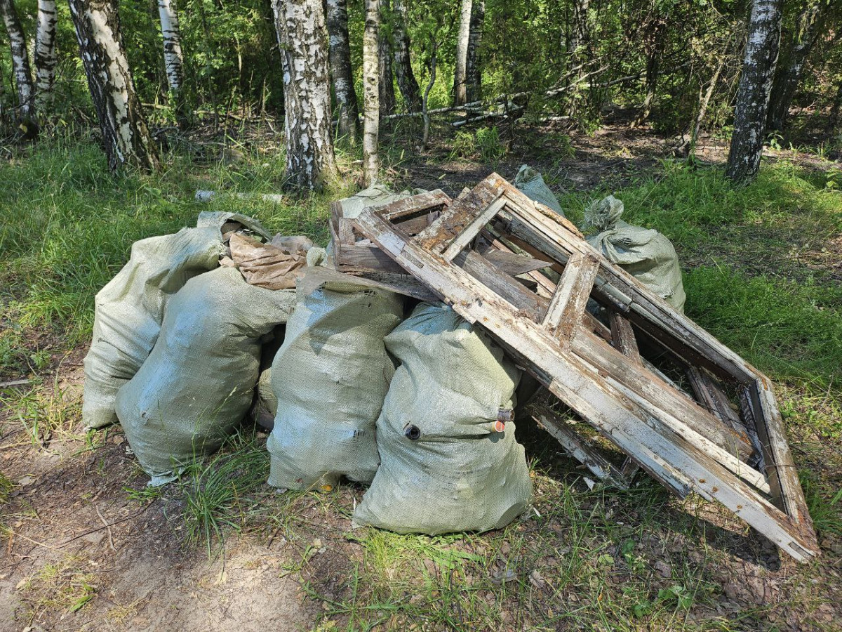 Более 60 кубометров мусора вывезено с территории Городецкого лесничества в рамках акции «Чистый лес»