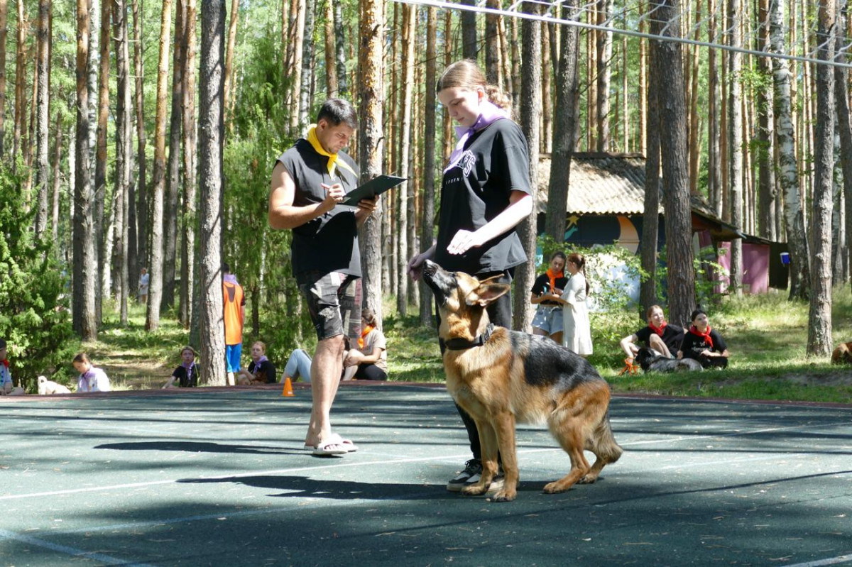 Горячая линия на тему школы «Юный кинолог» пройдёт в Нижнем Новгороде 15 июля