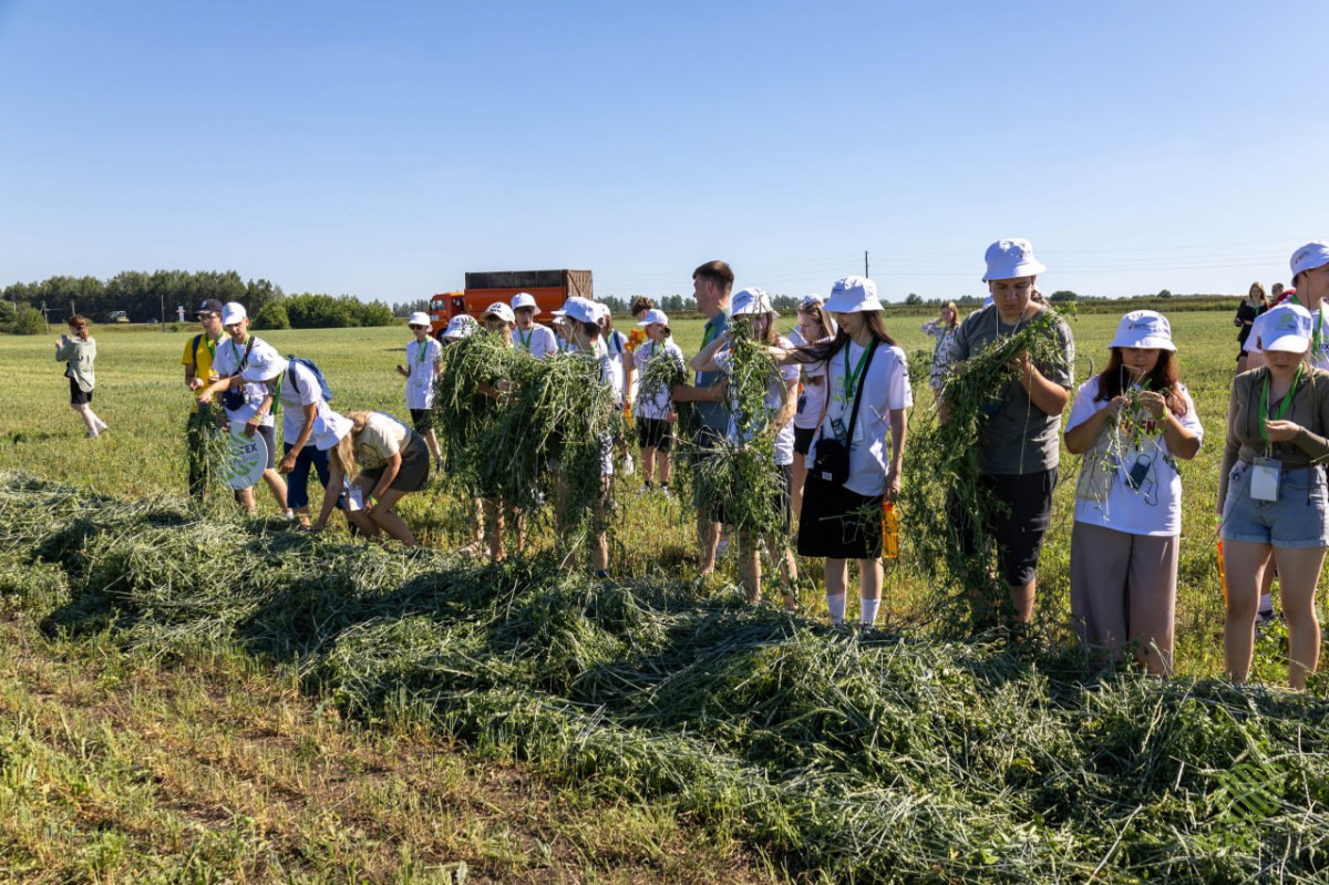 Нижегородская область стала пилотной площадкой всероссийского проекта «Аграрный лагерь для школьников»