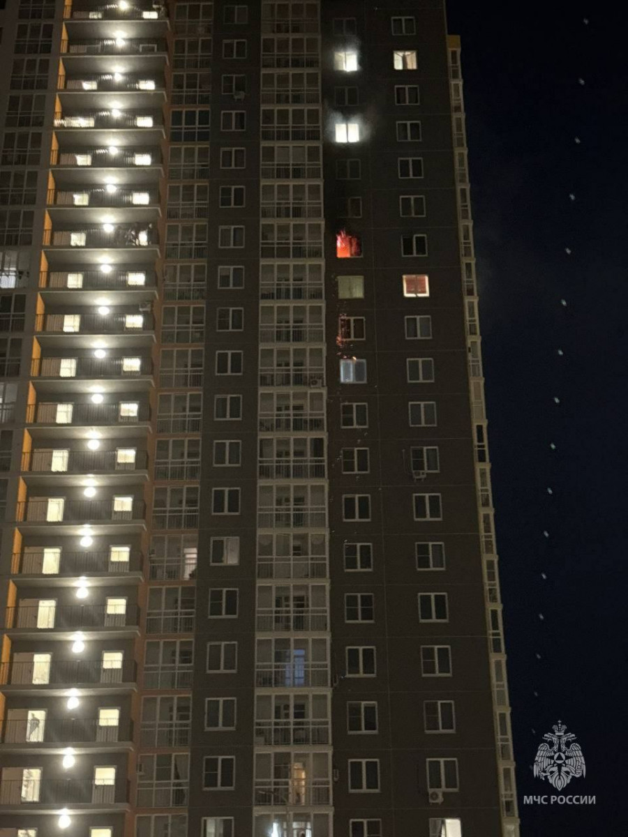 Квартира на 17 этаже загорелась Анкудиновском парке