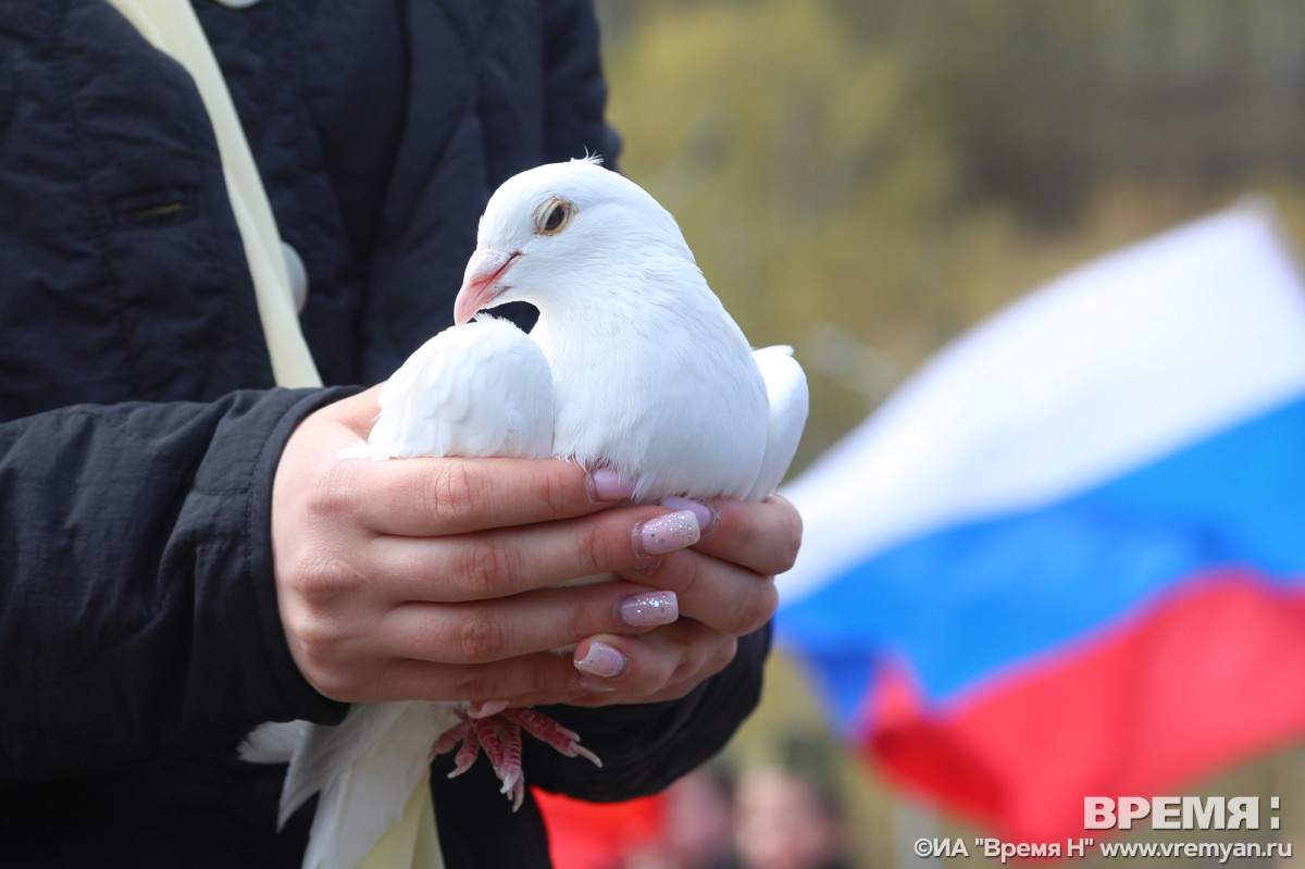 Жителей Нижегородской области приглашают на онлайн-флешмоб ко Дню государственного флага