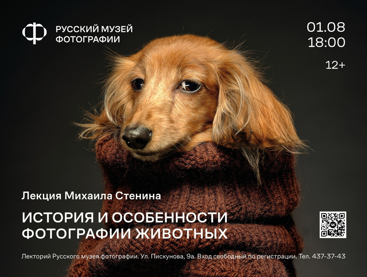 Лекция Михаила Стенина «История и особенности фотографии животных» пройдет в Нижнем Новгороде