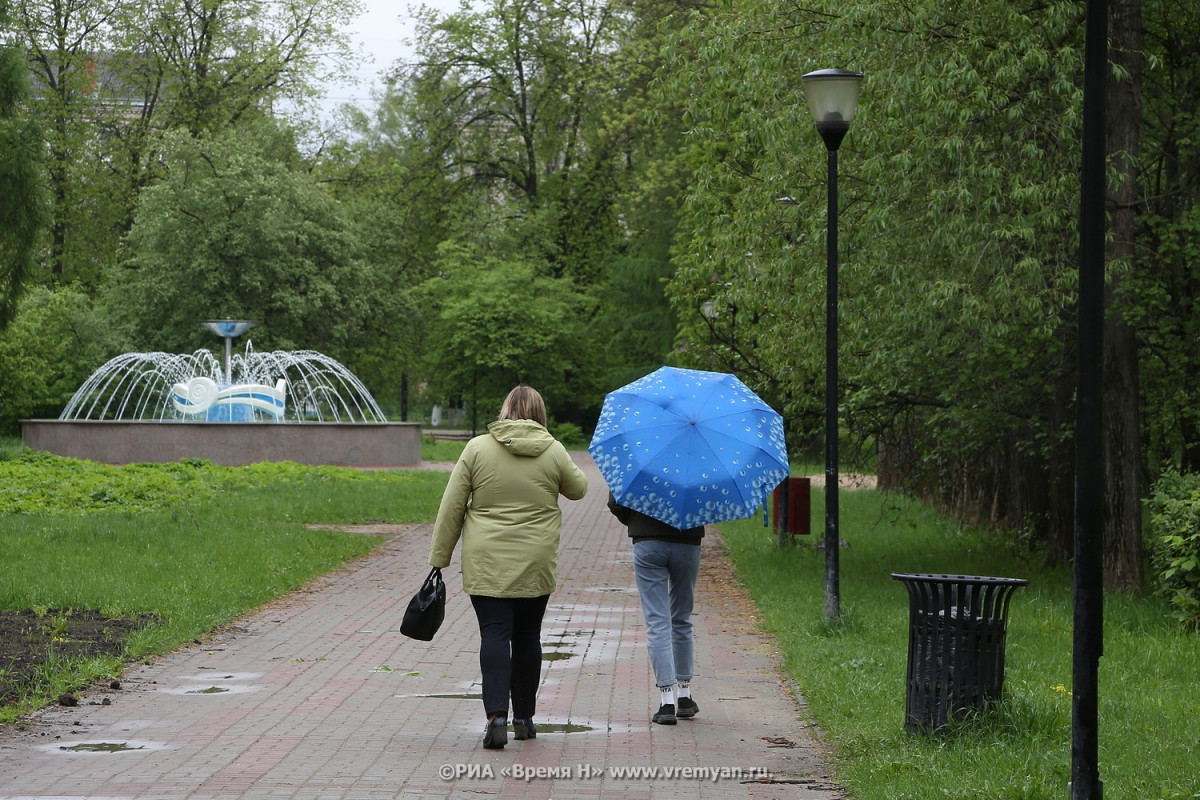 Небольшой дождь прогнозируют синоптики в Нижнем Новгороде 1 августа