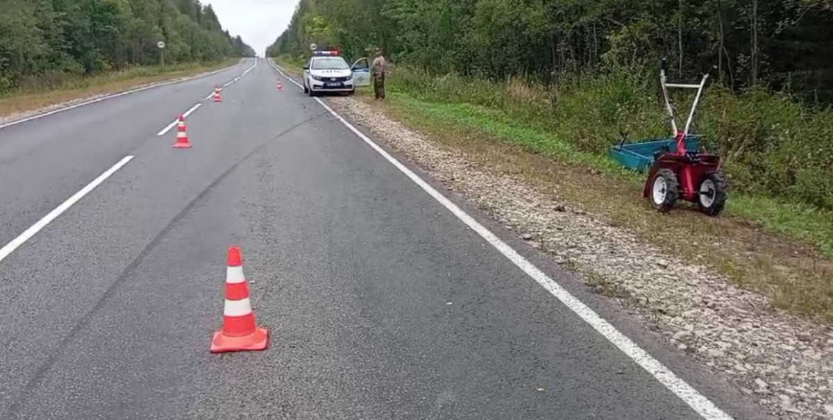 Иномарка и мотоблок столкнулись в Нижегородской области