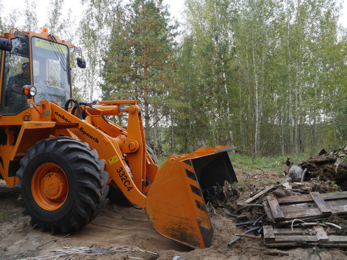 Более 55 кубометров мусора вывезено с территории Кстовского районного лесничества