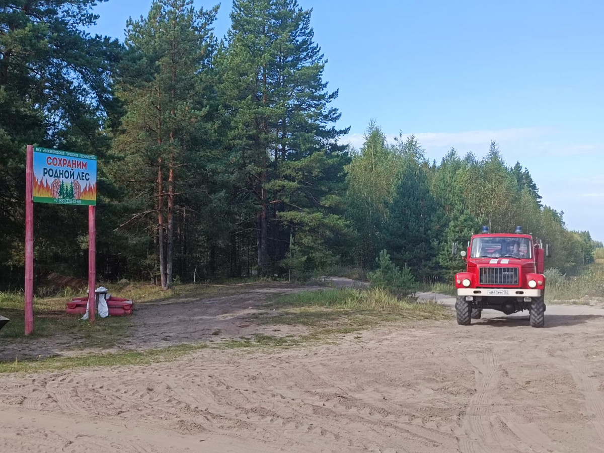 Пятый класс пожарной опасности действует на территории лесов Нижнего Новгорода