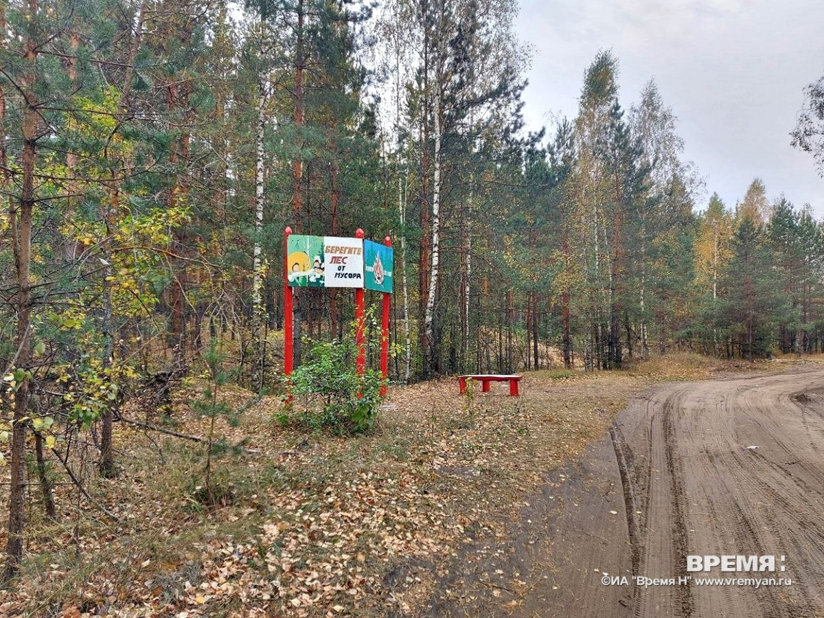 Нижегородцам напоминают о пожароопасности лесов и торфяников