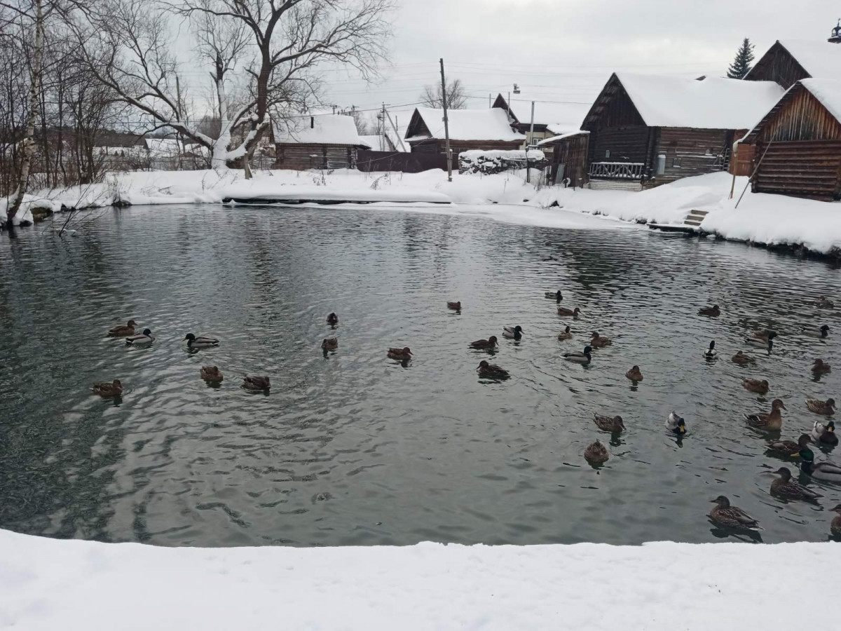 Нижегородцев приглашают посетить выставку работ победителей регионального фотоконкурса «Мир глазами ветерана»