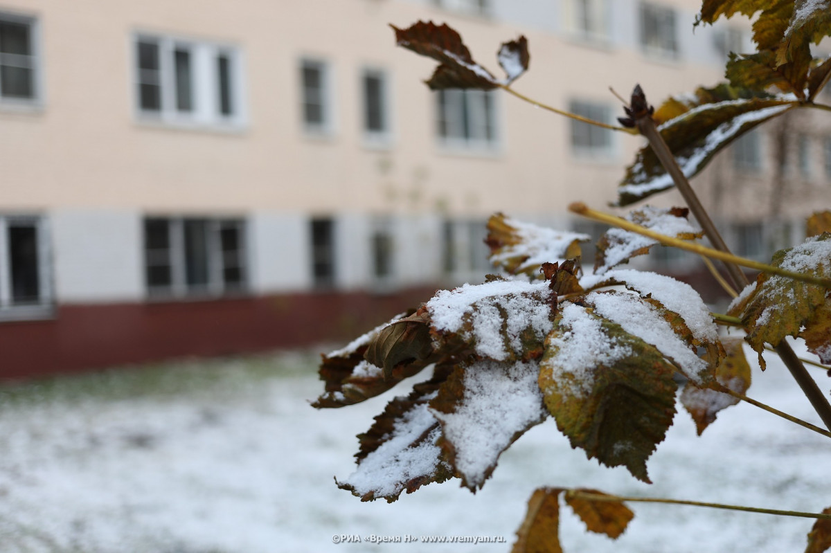 Дождь со снегом будет идти в Нижнем Новгороде сегодня весь день