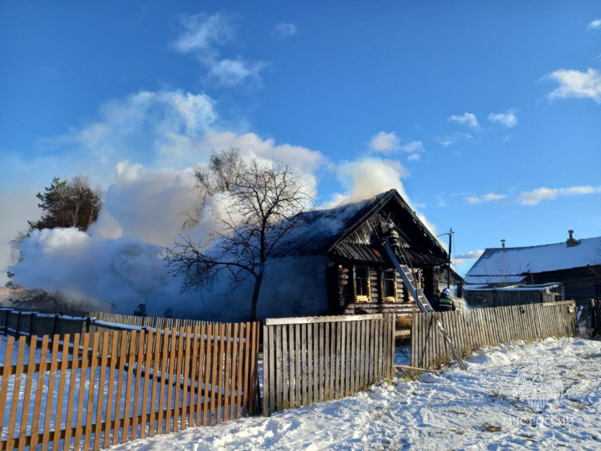 Нижегородские пожарные ликвидировали пожар