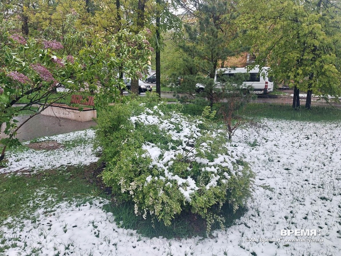 Потепление до+6°С ожидается в Нижегородской области