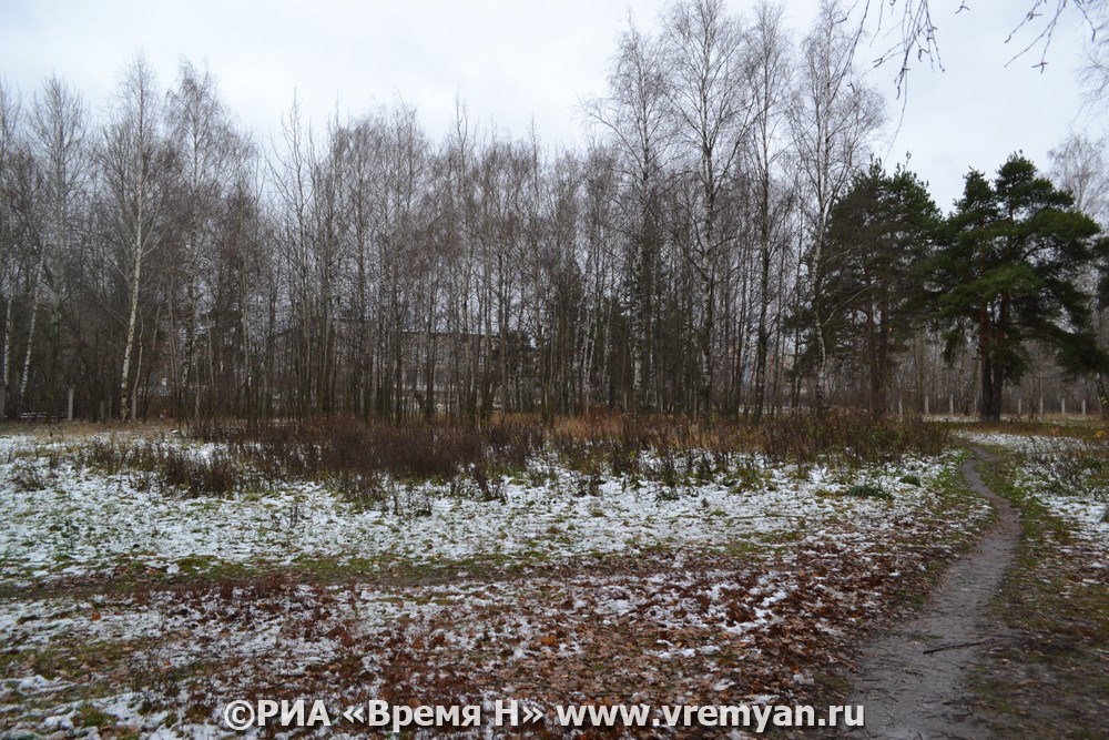 273 га сельхозземель заросло деревьями и сорняками в Уренском округе