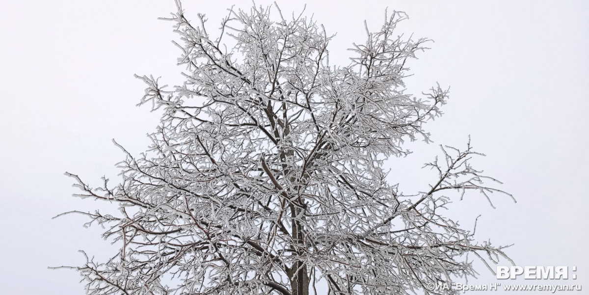 Морозы до -13°C ожидаются в Нижнем Новгороде в начале декабря