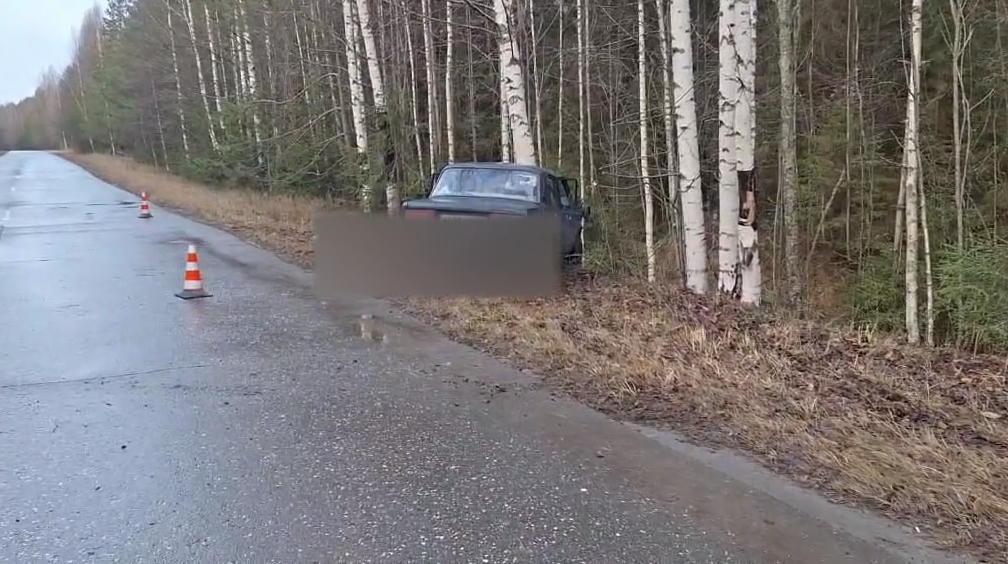 Водитель погиб при наезде на дерево в кювете в Ветлужском округе