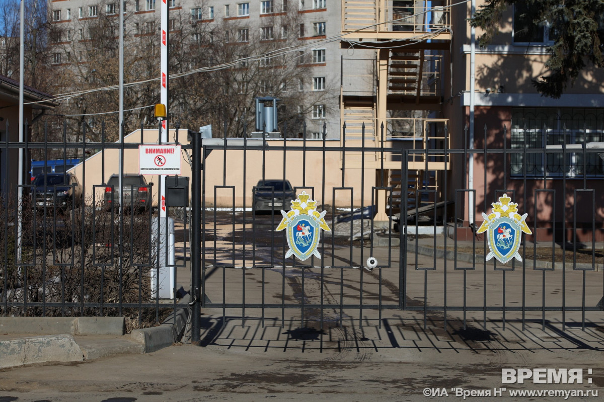 Бастрыкин заинтересовался нападением подростков по детей в Нижнем Новгороде