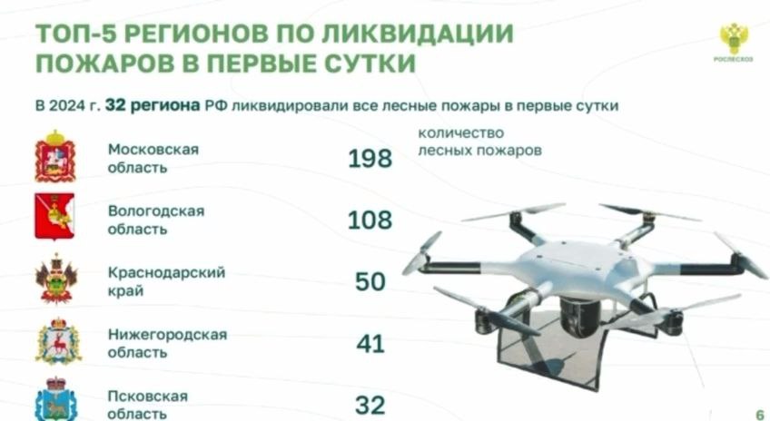 Нижегородская область оказалась среди лидеров по ликвидации лесных пожаров