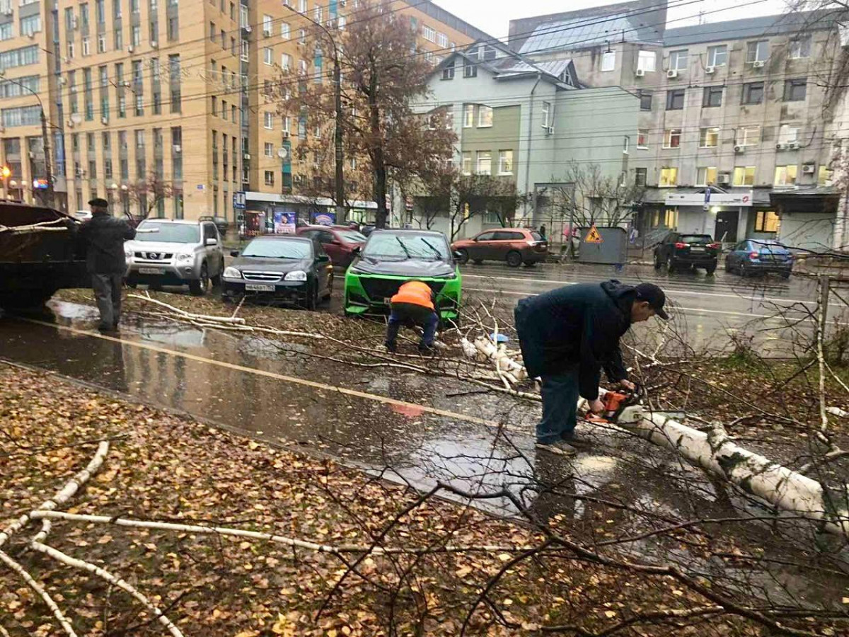 Дорожные службы убирают поваленные ураганным ветром деревья и ветки