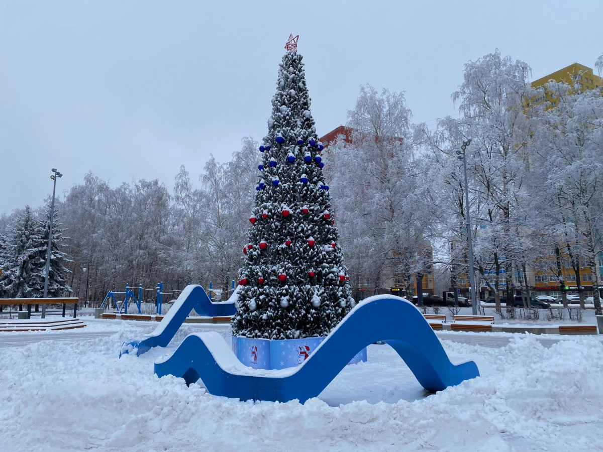 Новогоднюю елку в цветах триколора установили на Аллее любви в Приокском районе