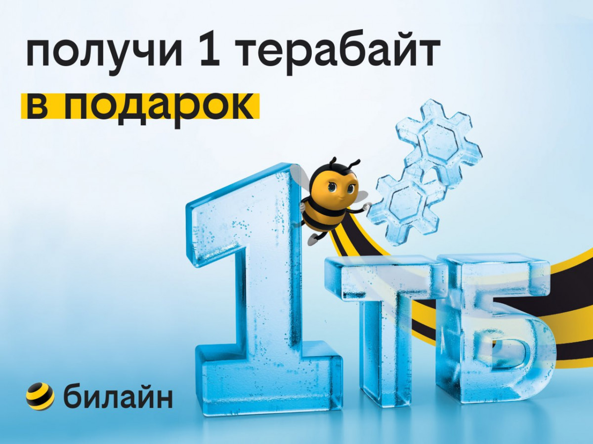 1 терабайт для всех: билайн дарит возможность забыть о трафике на целый год