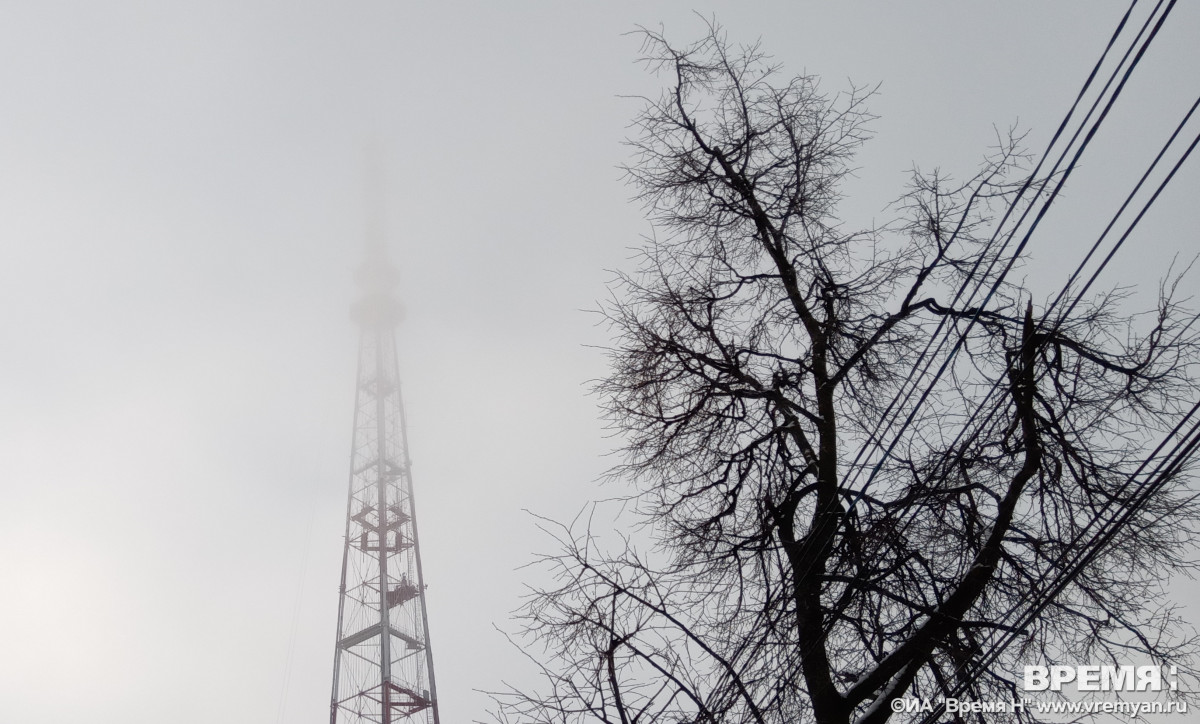 Нижегородская телебашня включит праздничную подсветку в честь 25-летия Союзного государства